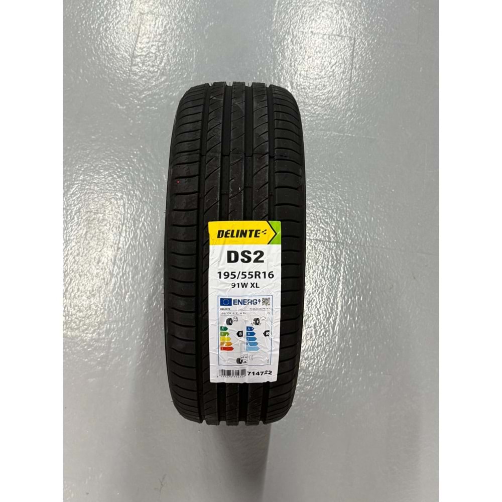 DELİNTE 1955516 91W XL DS2