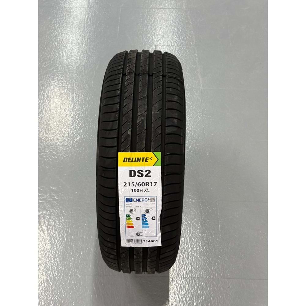 DELİNTE 2156017 100H XL DS2 (714661)