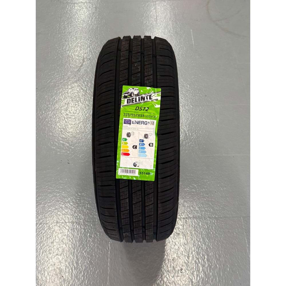 DELİNTE 2255518 DS2