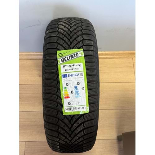 DELİNTE 2156017 96 H WİNTERFORCE