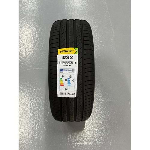 DELİNTE 2155516 97W XL DS2