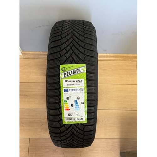 DELİNTE 2156516 98H WİNTERFORCE