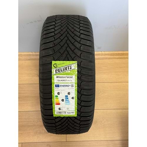 DELİNTE 2254517 94H XL WİNTERFORCE