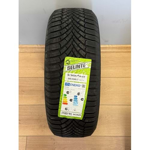 DELİNTE 2055517 95H XL WİNTERFORCE