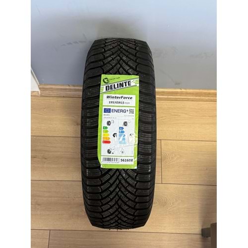 DELİNTE 1956515 91H WİNTERFORCE